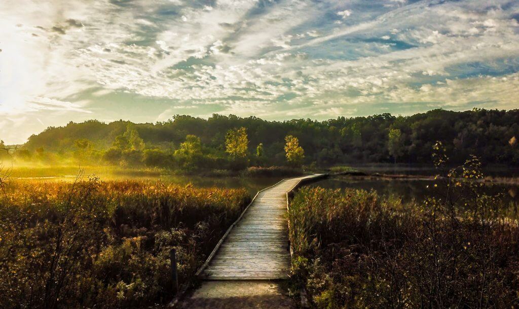 Lillie Park Sunrise