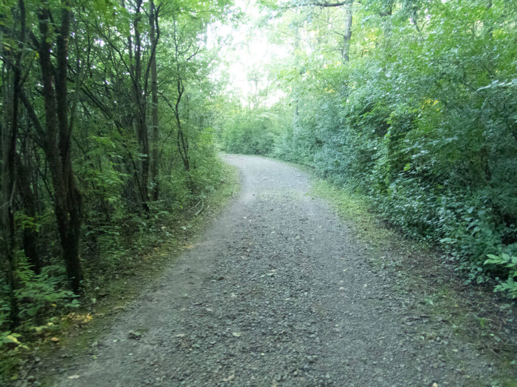Lillie Park Path