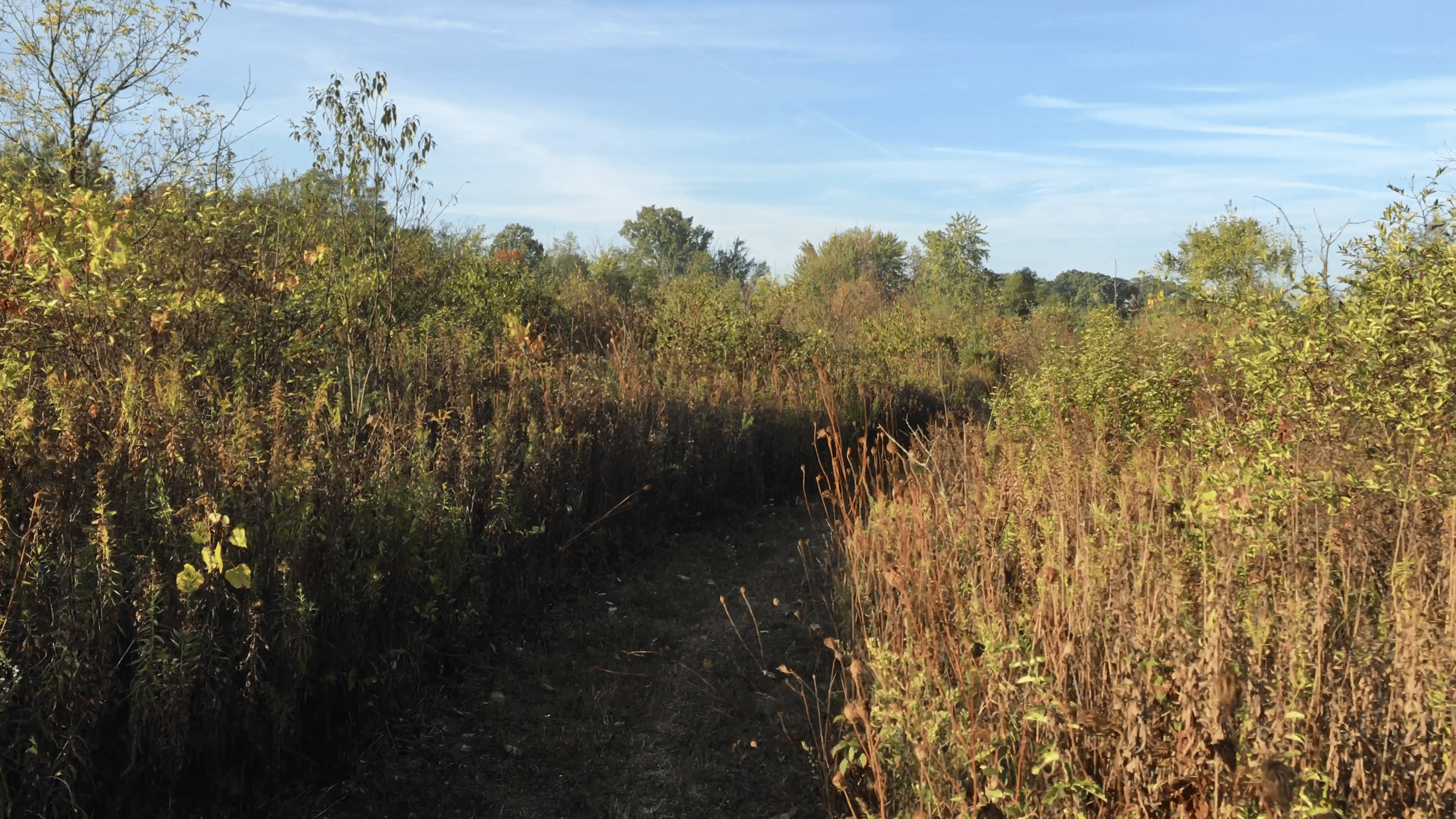 Riverbend Preserve