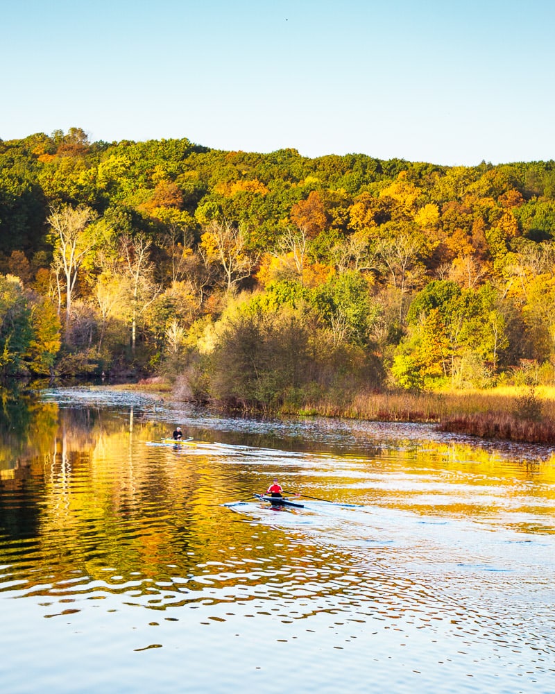 Fall Color Trek in The Bird Hills Nature Area - Walking Washtenaw